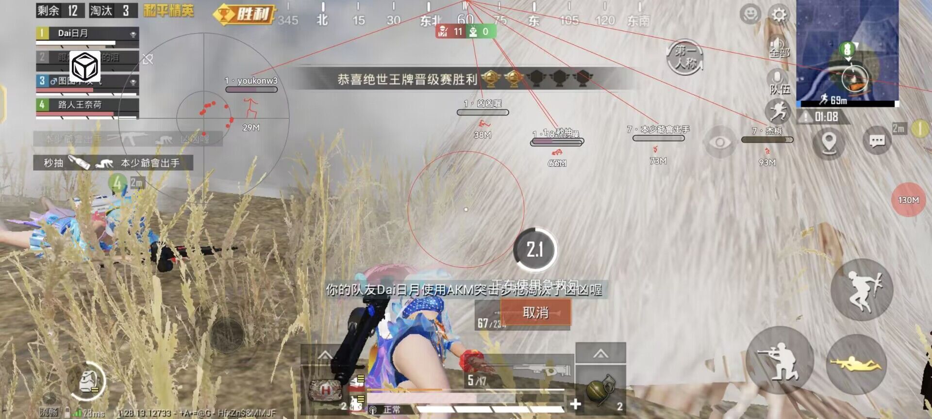 和平精英【初夏内核】辅助